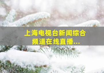 上海电视台新闻综合频道在线直播...