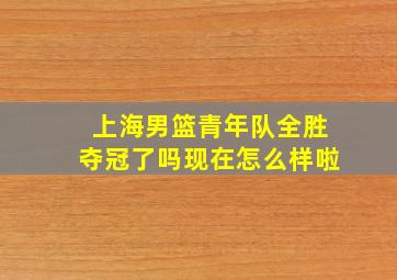 上海男篮青年队全胜夺冠了吗现在怎么样啦