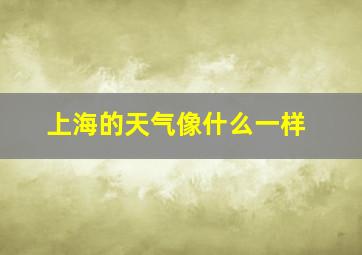 上海的天气像什么一样