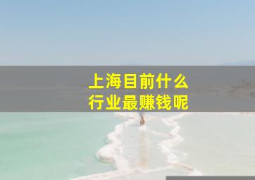 上海目前什么行业最赚钱呢