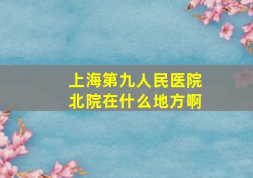 上海第九人民医院北院在什么地方啊