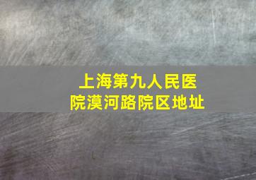 上海第九人民医院漠河路院区地址