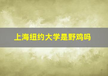 上海纽约大学是野鸡吗