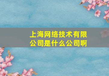 上海网络技术有限公司是什么公司啊