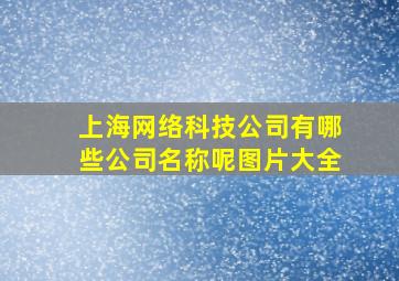 上海网络科技公司有哪些公司名称呢图片大全