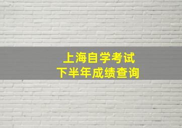 上海自学考试下半年成绩查询