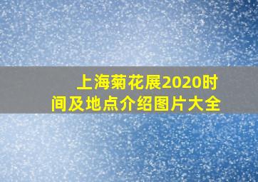 上海菊花展2020时间及地点介绍图片大全