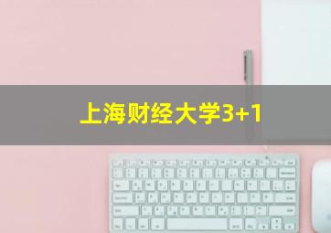 上海财经大学3+1