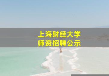 上海财经大学师资招聘公示