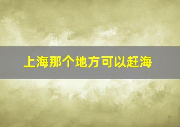 上海那个地方可以赶海