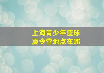 上海青少年篮球夏令营地点在哪