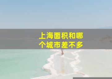 上海面积和哪个城市差不多