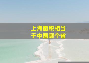 上海面积相当于中国哪个省