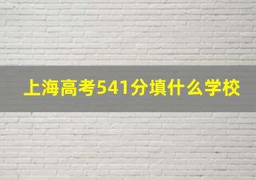 上海高考541分填什么学校