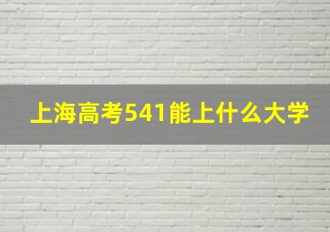 上海高考541能上什么大学