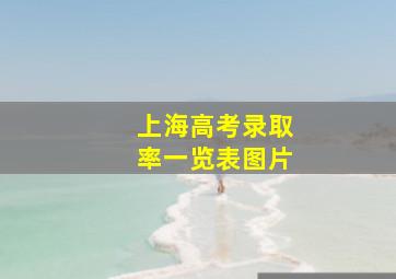 上海高考录取率一览表图片