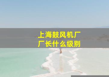 上海鼓风机厂厂长什么级别