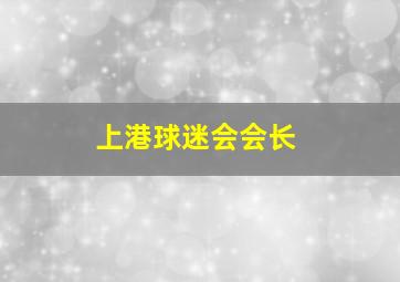 上港球迷会会长