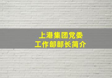 上港集团党委工作部部长简介