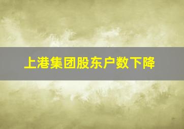 上港集团股东户数下降