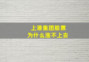 上港集团股票为什么涨不上去