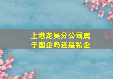 上港龙吴分公司属于国企吗还是私企