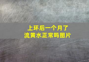 上环后一个月了流黄水正常吗图片