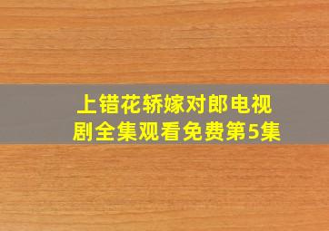 上错花轿嫁对郎电视剧全集观看免费第5集