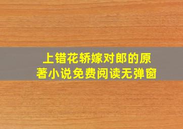 上错花轿嫁对郎的原著小说免费阅读无弹窗