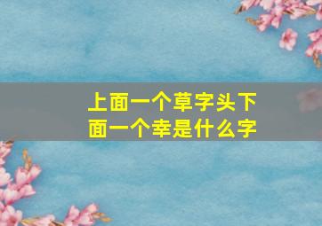 上面一个草字头下面一个幸是什么字