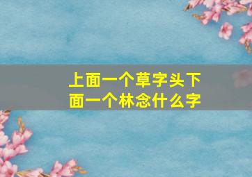 上面一个草字头下面一个林念什么字