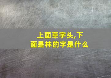 上面草字头,下面是林的字是什么