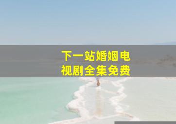 下一站婚姻电视剧全集免费