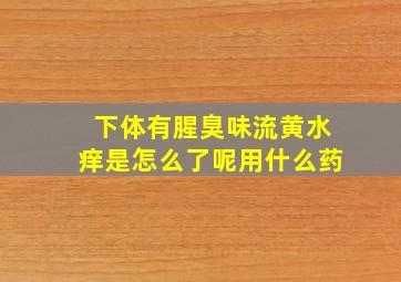 下体有腥臭味流黄水痒是怎么了呢用什么药