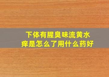 下体有腥臭味流黄水痒是怎么了用什么药好