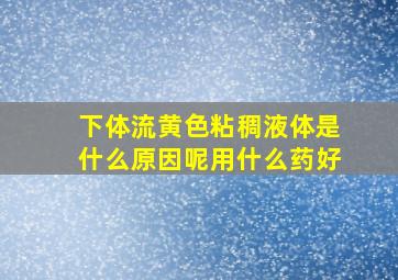 下体流黄色粘稠液体是什么原因呢用什么药好