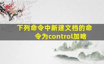 下列命令中新建文档的命令为control加啥