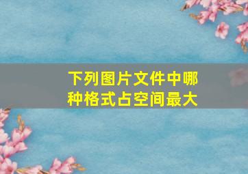 下列图片文件中哪种格式占空间最大