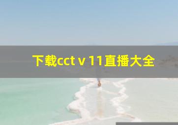 下载cctⅴ11直播大全