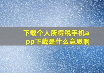 下载个人所得税手机app下载是什么意思啊