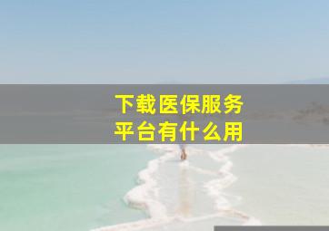 下载医保服务平台有什么用