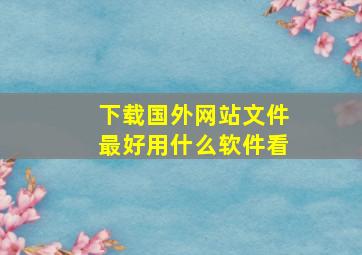 下载国外网站文件最好用什么软件看