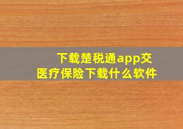 下载楚税通app交医疗保险下载什么软件