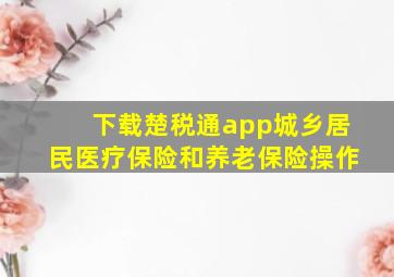 下载楚税通app城乡居民医疗保险和养老保险操作