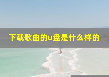 下载歌曲的u盘是什么样的