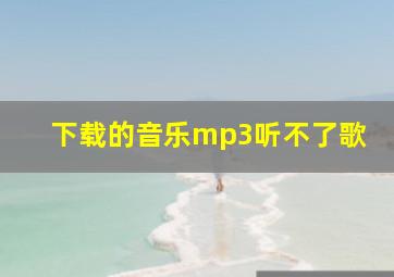 下载的音乐mp3听不了歌