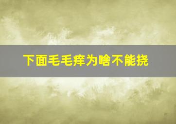 下面毛毛痒为啥不能挠