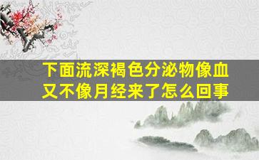 下面流深褐色分泌物像血又不像月经来了怎么回事