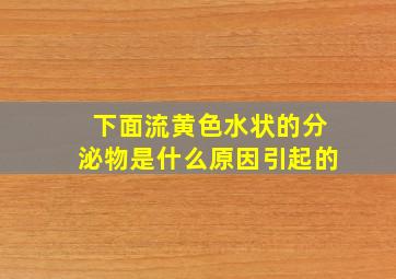 下面流黄色水状的分泌物是什么原因引起的