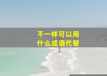 不一样可以用什么成语代替